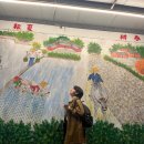 카페포모사 | [여행] 대만 가오슝 여행 (251225-251228)