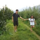 삼장다목적캠핑장 이미지