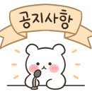 스콜라몬테소리김포