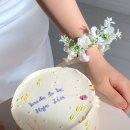 멋진세계 빌라마노 이미지