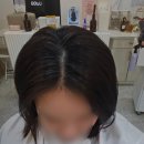 (주)디엘 | 마곡역 미용실 : 디엘헤어 마곡에서 뿌리염색과 커트 하고 온 후기