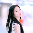 아린이 Daum카페