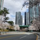 노노당구장 이미지