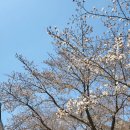 카페804 - 천안시 서북구 서부2길 59 | 카페804