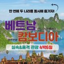 우리항공여행사 이미지