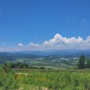 양양목장 이미지