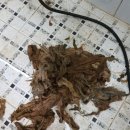 도봉-도봉-서울도봉-2382 이미지