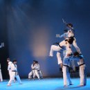 k타이거즈 이미지