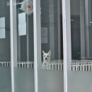 품에 | 서대문구 내품에센터 봉사후기