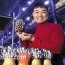 노다지농장 이미지