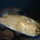 신태양부동산중개사무소 이미지