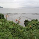 숲정경로당 이미지