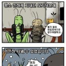 개미와배짱이 이미지