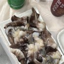 어촌횟집 이미지