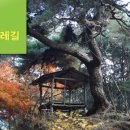 지리산신선둘레길 이미지