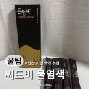 임산부 염색약 추천 씨드비 물염색 셀프 새치염색 내돈내산