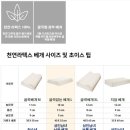 세운파트너스 | 베개 유목민의 선택 | 엔씨엘 천연라텍스 굴곡없는베개L 내돈내산 후기