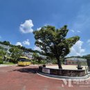 연동중학교 이미지