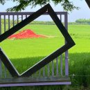 태산목장 이미지