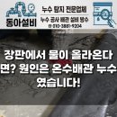 거제 장평동 장평성원아파트 누수탐지 후기 - 장판에서 물 차오른 원인 온수배관 누수공사 완료