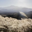 한라산국립공원산악박물관 이미지