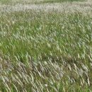 새마을민박 이미지