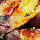 맛샘농장 이미지