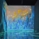 불사조 제5관 이미지