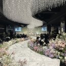 달더라과일과게 | 신도림 웨딩시티 27년도 4-5월 견적보고 홀투어/ 뷔페후기