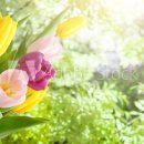 비젼21행정사 이미지