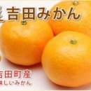 (유)우와 네이버블로그