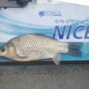 (주)성호