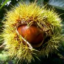 별나무캠핑장 이미지