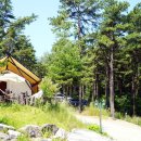 블랙트리하우스 이미지