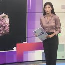 고물가에 예식장 식대도 껑충…요즘 축의금 얼마가 적당? 이미지