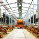 쑥쑥한우농장 이미지