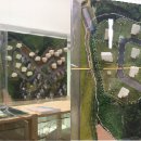 발트하우스 이미지