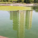 꿈누리유치원 이미지