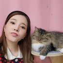 써니펫 이미지