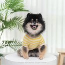 바이쏭