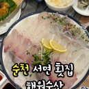 순천 서면 맛집 낮술 가능 해원수산 ㅣ 회 해산물 신선도 최고