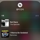 SUEDE (스웨이드) 내한공연 후기