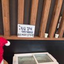 숙달돼지 경기광주점 | 경기도 광주 맛집 추천, 송정동 맛집으로 딱이었던 정원갈비 경기광주점 돼지갈비 후기