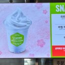 트레이더스 홀세일클럽 서면점 이미지