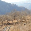 김삿갓면-3 이미지