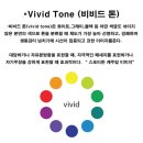 비비드vivid 이미지