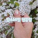 맘스네일 현풍점