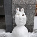 미견미묘 이미지