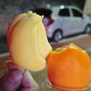 부산 남포동 이모카세 추천｜1인 2만원 가성비 대박 술집 동술