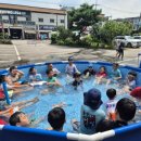 선일초등 이미지